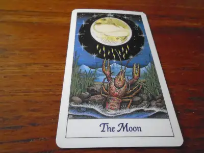 Been consulting Tarot & Oracle cards for 20 years. If you need guidance, and are looking for answers...