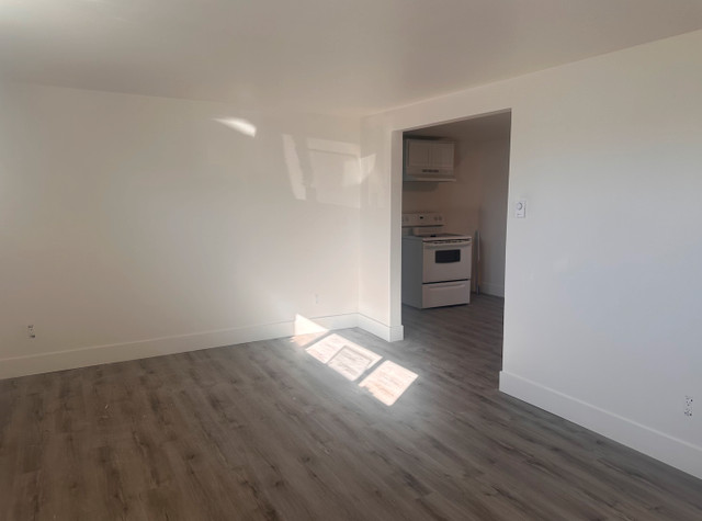 Basement Apartment Available Now! in Long Term Rentals in Moncton - Image 3