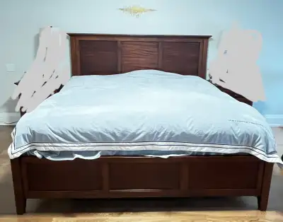 Queen bed - great condition, mattress can be included as well. Pick up only. $100