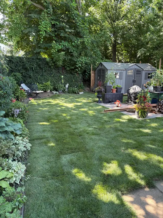 everything landscaping63581890134403122