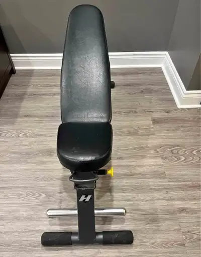 hoist fold up bench after tax retain is $450 i am selling for $225 walkers line and dundas area pick...