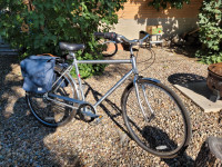 Electra Loft Men's Bicycle 7-speed internal hub, with saddlebags