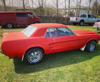 1967 mustang coupe or cougar