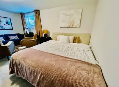 ALL INCLUSIVE - PRIVATE LARGE ROOM FOR RENT IN KANATA-CARP, AVAILABLE IN immediately ( Working perso...