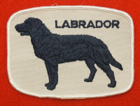 écusson de chien de race Labrador