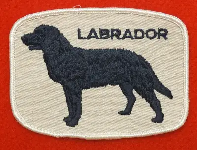 Labrador dog patch