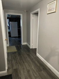 BASEMENT AVAILABLE FOR RENT IN ETOBICOKE FROM JUNE 1st, 2024