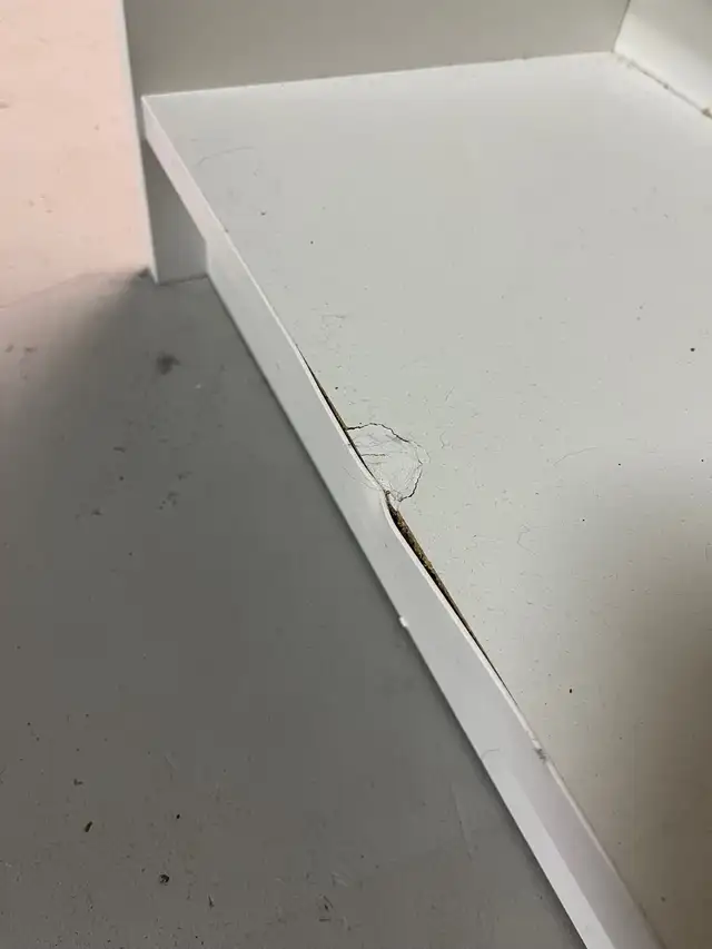 IKEA Billy Bookcase White in Bookcases & Shelving Units in Gatineau - Image 5