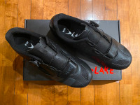 Lake bike shoe