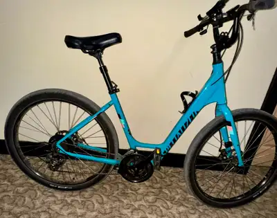 Specialized Roll Sport-lrg frame (OBRO), View more