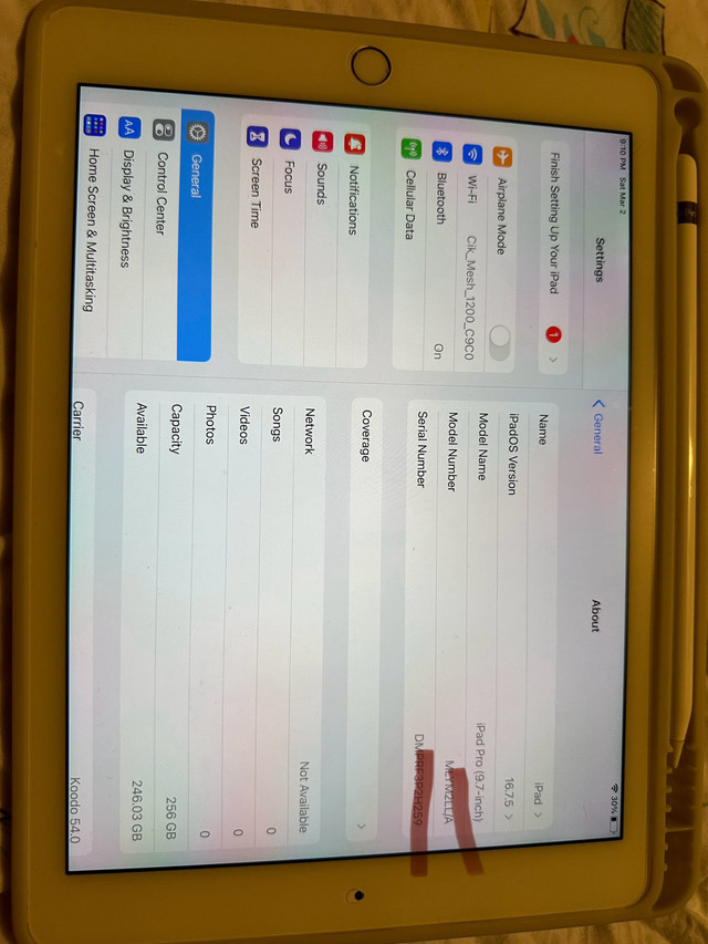 Apple iPad Pro 1st Gen. 256GB, Wi-Fi + 4G (Unlocked), 9.7 in iPads & Tablets in Kitchener / Waterloo - Image 4