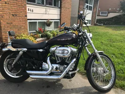 2006 Harley Davidson sportster 1200 custom with Vansen Hines short shot exhaust Open to trades or 65...