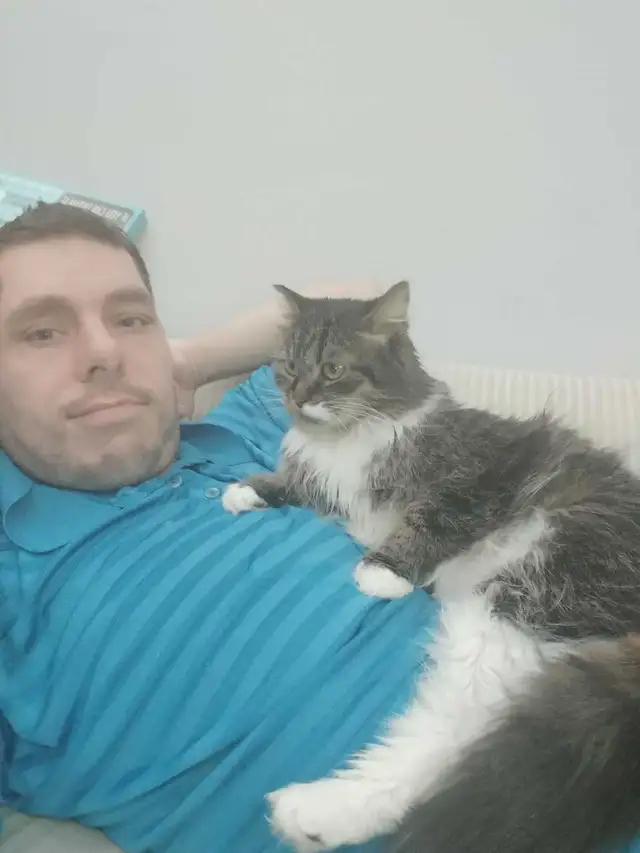 looking for 1 bedroom apartment