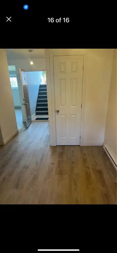 LARGE 2 1/2 to rent