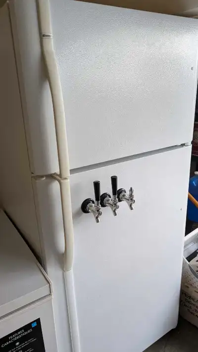 beer fridge, corny kegs, CO2 tank, View more