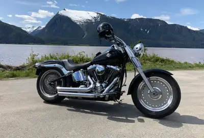 2007 Harley Davidson Fatboy 96 cu in with 110 screaming eagle top end jugs Rivas 574 Rocket cam/lift...