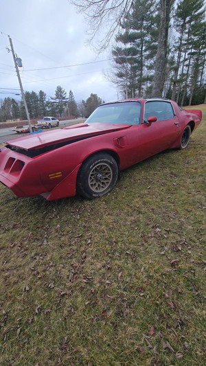 1981 Pontiac Trans Am