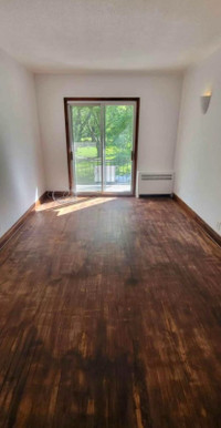 4 1/2 for rent in Plateau Mont Royal (lease transfer for June)