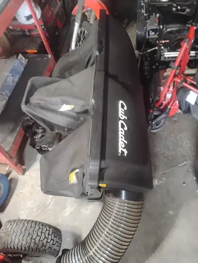 Cub cadet Enduro series XT2 LX42 ride on lawn mower bagger, View more