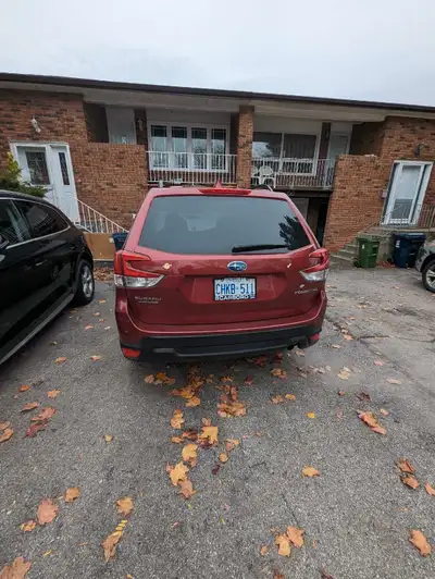 2 bedroom BASEMENT FOR RENT near STC