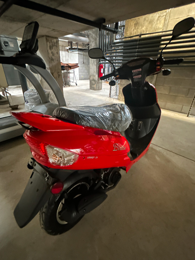 Scootterre Bistro 50 - 2022 - NEUF dans Scooters et minimotos  à Laval/Rive Nord - Image 2