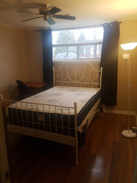 Spacious Room in a walkout basement in Mississauga
