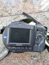 Sony camera (Cannon and Nikon for free 