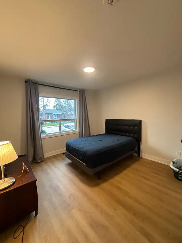 room for rent for young professionals