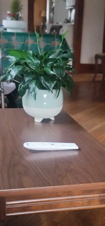 Looking for full un-shared house for rent 3 bedrooms or more. No more than $2500 per month. Family o...