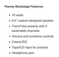 Backstage Peavy Amp