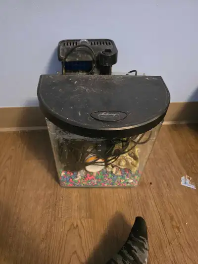 aquarium with exceceries, View more