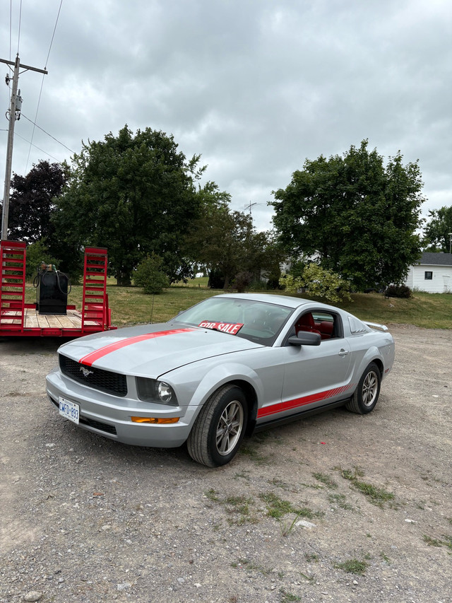 2005 Ford Mustang V6 in Cars & Trucks in Peterborough - Image 4