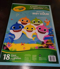 Baby shark Giant colouring pages book (new)