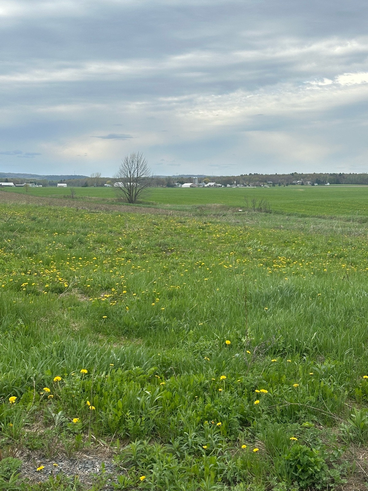 terrain agricole — photo 1