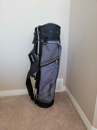 Spalding Golf Cart Bag, Check Description/Pictures, AD B19