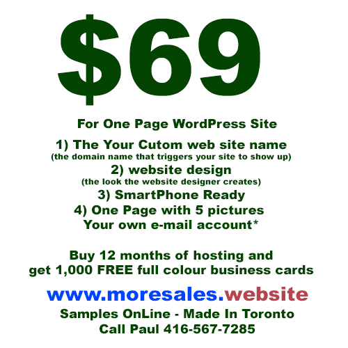 One Page Website $69 with custom name64639723334403120