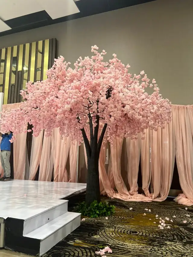Luxury Cherry Blossom Trees | Straight, Arched & Weeping Styles in Home Décor & Accents in Mississauga / Peel Region - Image 9