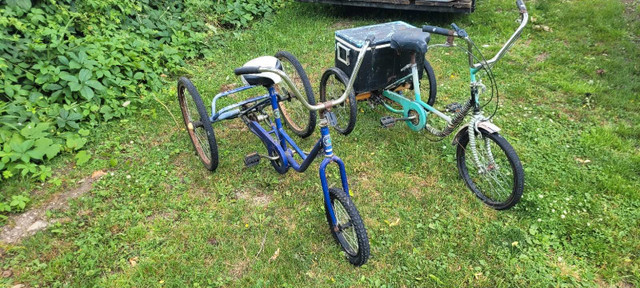 Two Adult Tricycles in Other in St. Catharines