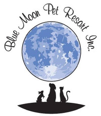Blue Moon Pet Resort , Luxury boarding for your pet's vacation