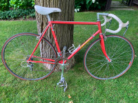 Vintage Steve Bauer Cyclone race bike
