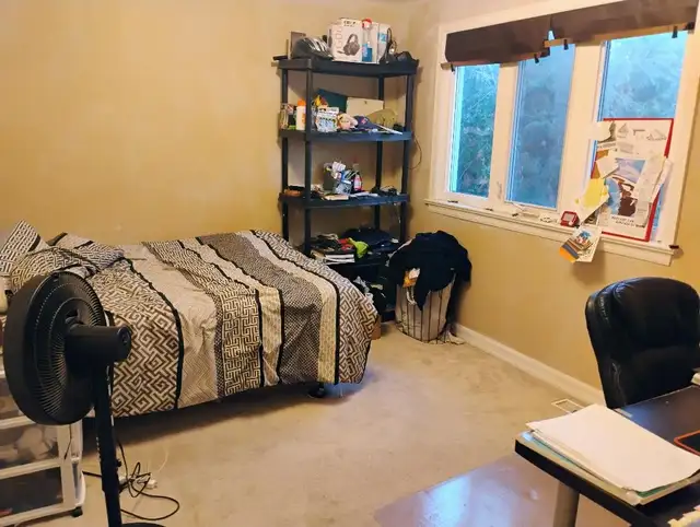 Immed/Feb-15m/Algonq-30min/Carleton-Furn, See VIDEO's