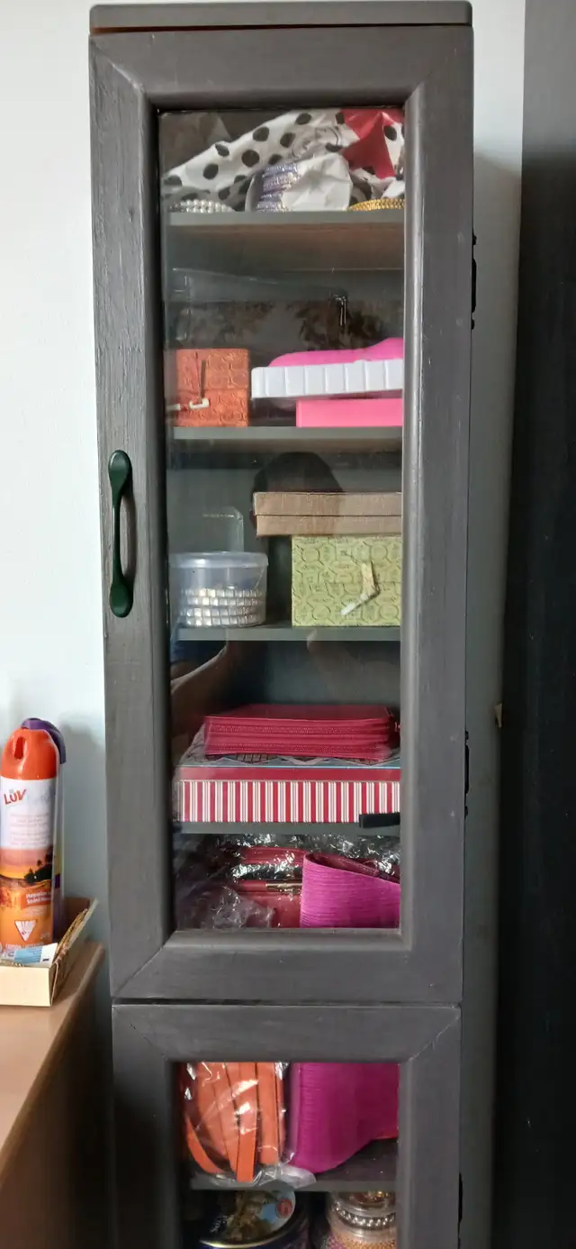Tall narrow display cabinet or shelves in Bookcases & Shelving Units in City of Toronto - Image 2