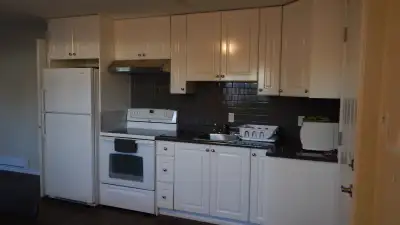 Private 1 bedroom in a fully furnished 2 bedroom high-ceiling basement suite with full access to liv...