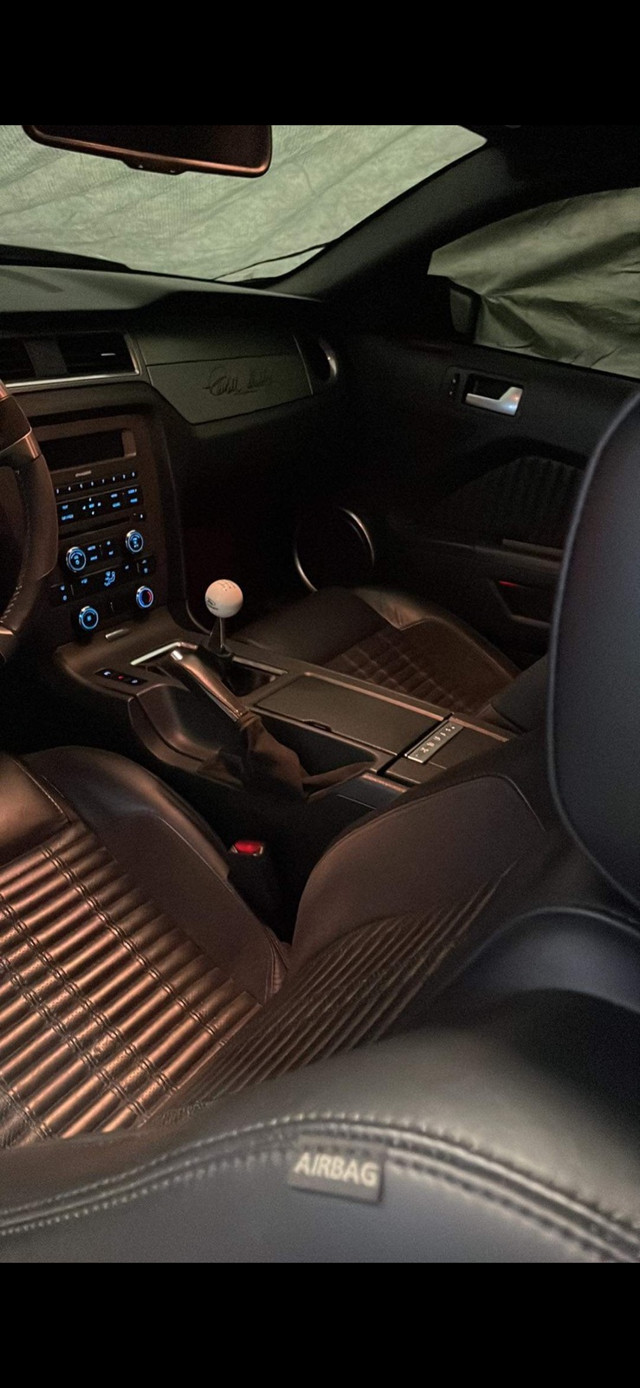 2011 Shelby GT500 in Cars & Trucks in Leamington - Image 2