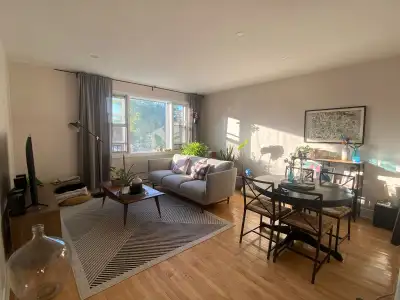 Superb sunny 5 1/2 in beautiful building located in NDG, 15 minutes from Vendôme metro station (bus...