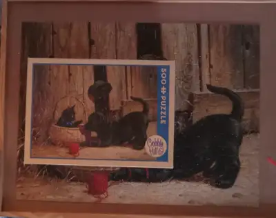 Complete 500 piece puzzle. Cobble Hill. Near Nepean Sportsplex for pick-up/meet-up.