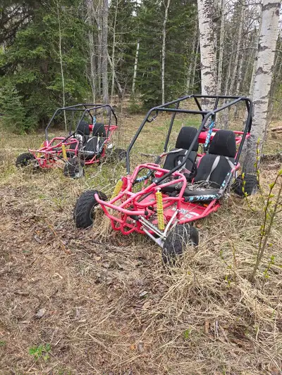 GO KARTS! Selling the pair for $1,000. Good condition. Originally from Costco. Contact if interested...