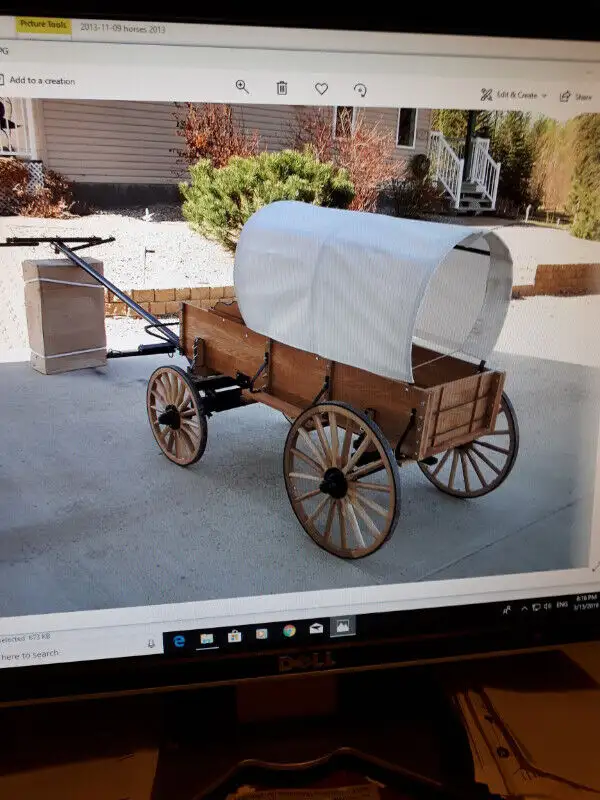 mini chuckwagon in Livestock in Edmonton - Image 2