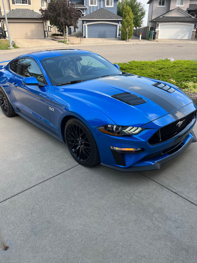 2020 Ford Mustang GT 6 speed, rare options