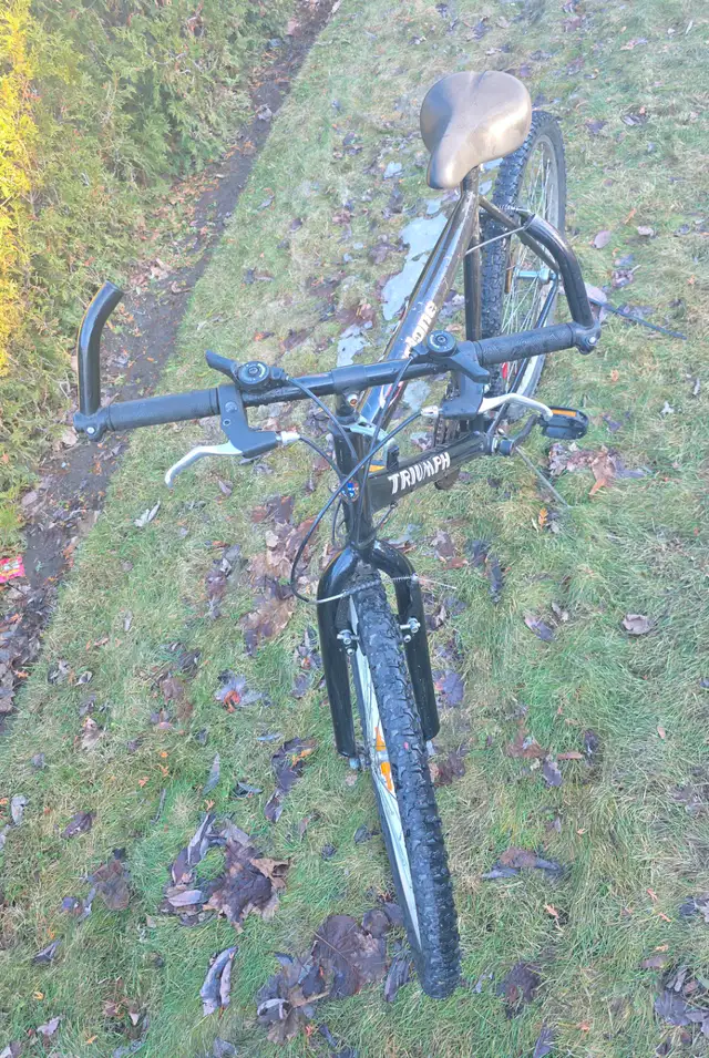 bicyclette in Mountain in Longueuil / South Shore - Image 3